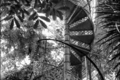botanisk-1